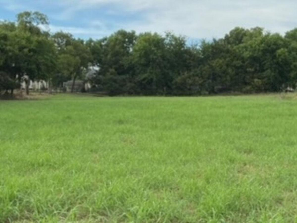 Picture of Residential Land For Sale in Whitewright, Texas, United States