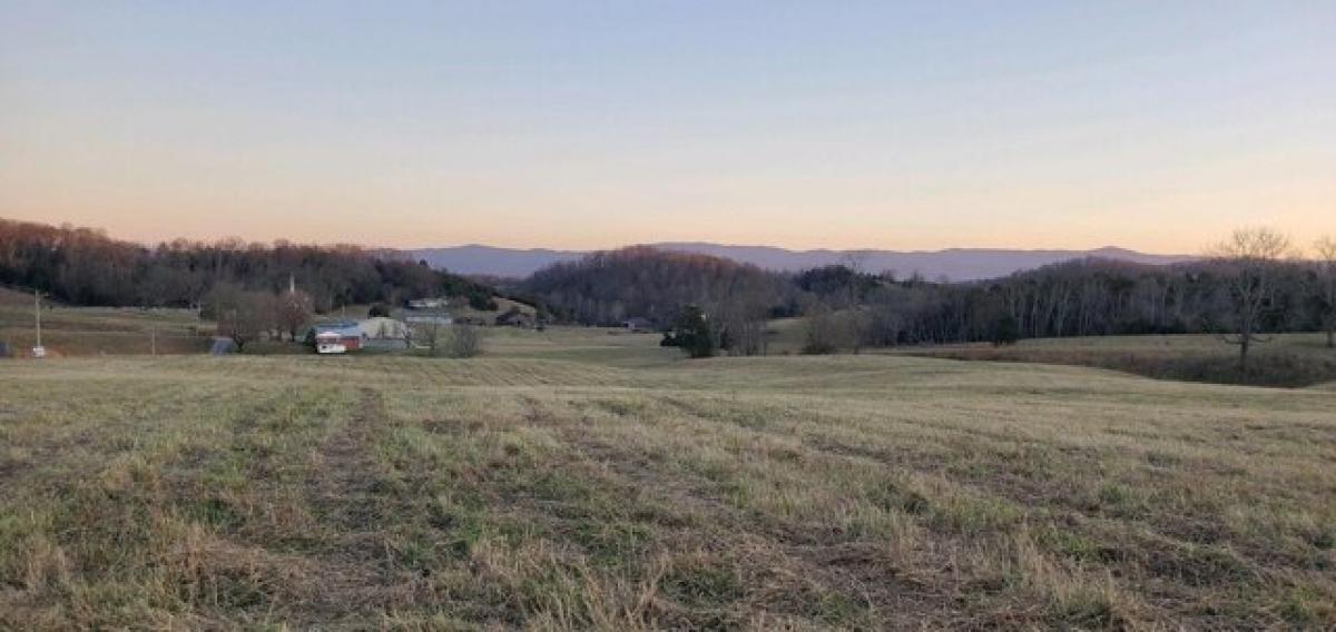 Picture of Residential Land For Sale in Afton, Tennessee, United States