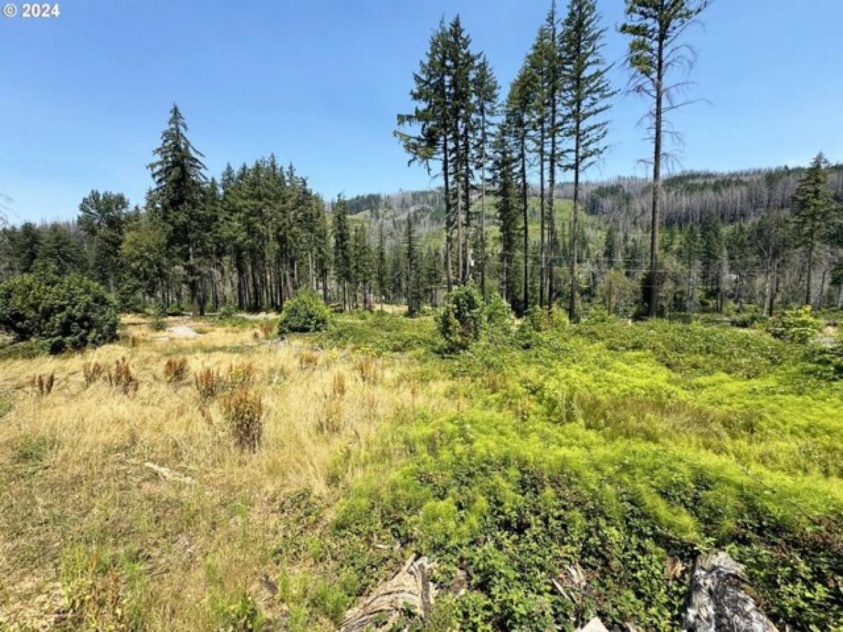 Picture of Residential Land For Sale in Vida, Oregon, United States