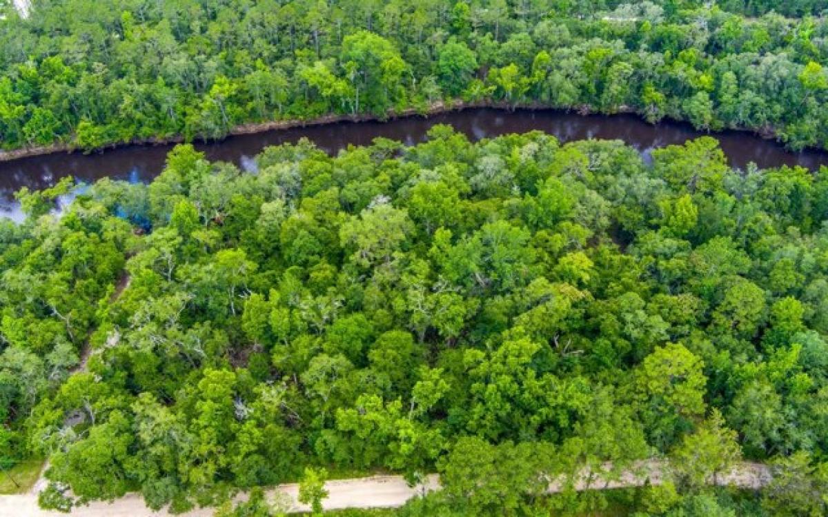 Picture of Residential Land For Sale in Jasper, Florida, United States