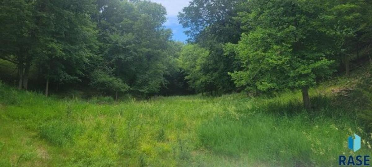 Picture of Residential Land For Sale in Yankton, South Dakota, United States