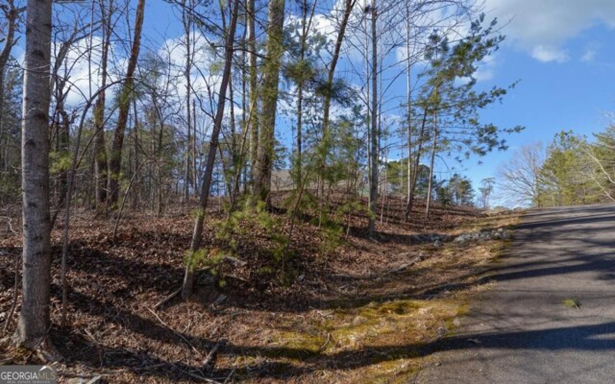 Picture of Residential Land For Sale in Toccoa, Georgia, United States