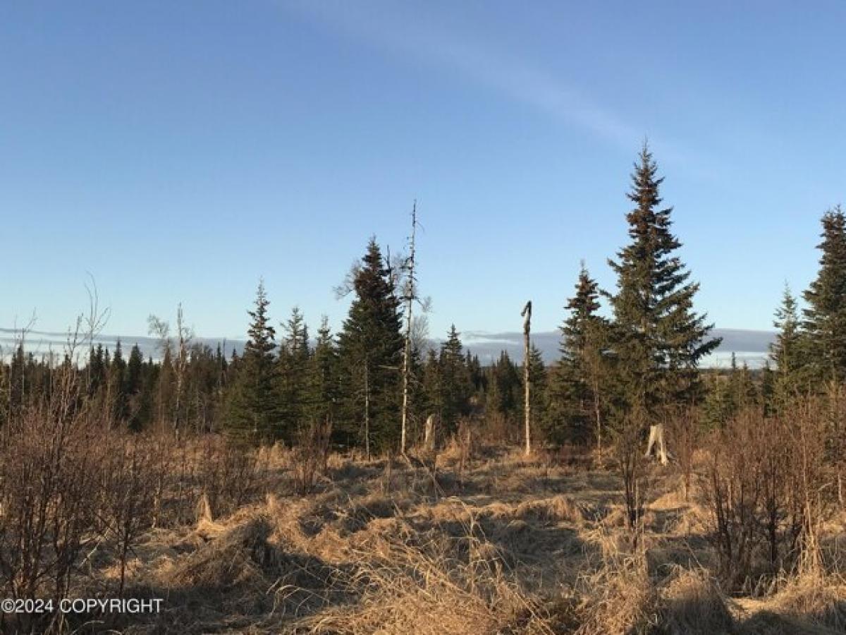 Picture of Residential Land For Sale in Ninilchik, Alaska, United States