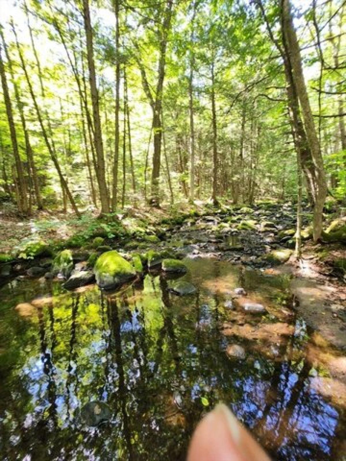 Picture of Residential Land For Sale in Blandford, Massachusetts, United States