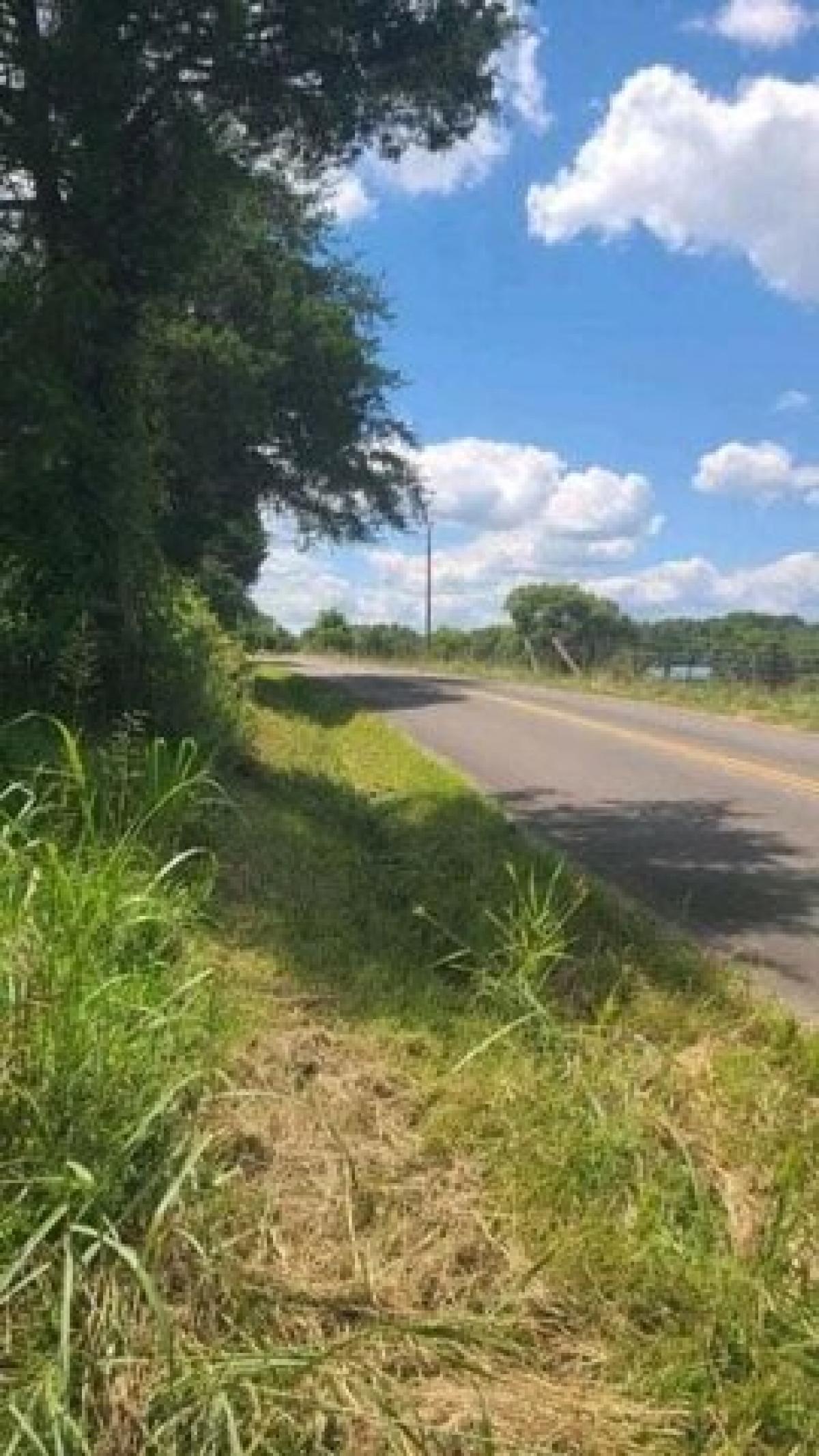 Picture of Residential Land For Sale in Charleston, Tennessee, United States