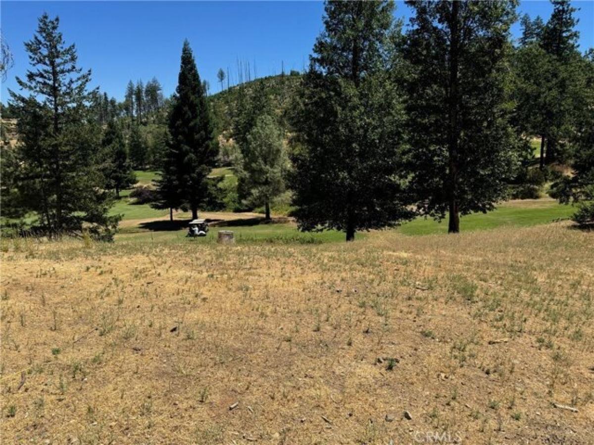 Picture of Residential Land For Sale in Cobb, California, United States