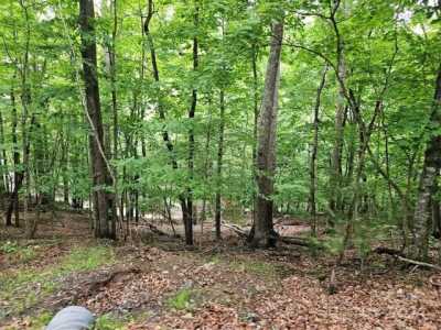 Residential Land For Sale in Burnsville, North Carolina