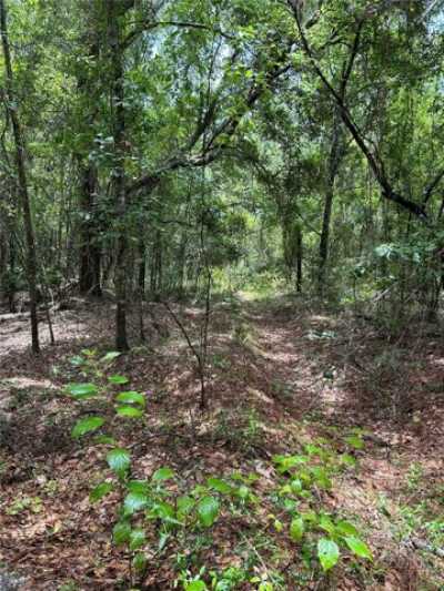 Residential Land For Sale in Earleton, Florida