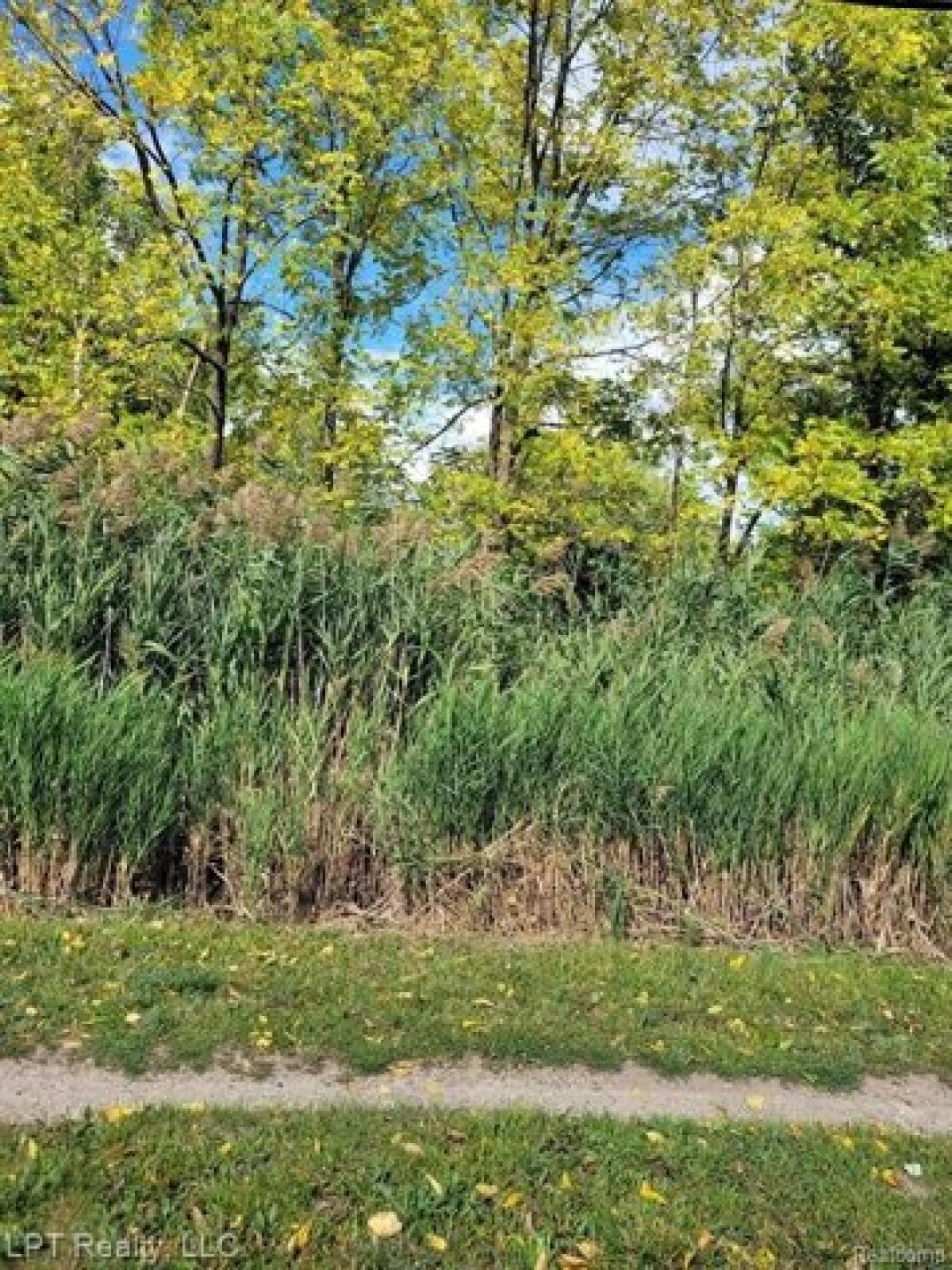 Picture of Residential Land For Sale in Southgate, Michigan, United States