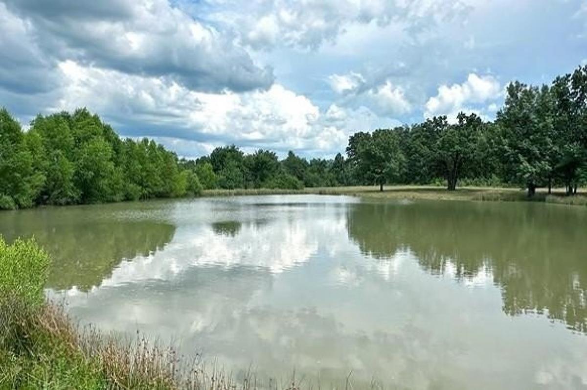 Picture of Residential Land For Sale in Sulphur Bluff, Texas, United States