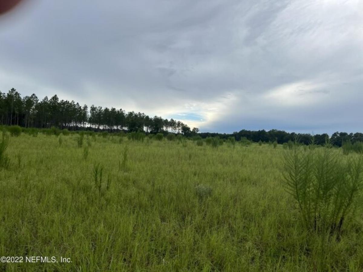 Picture of Residential Land For Sale in Lake Butler, Florida, United States