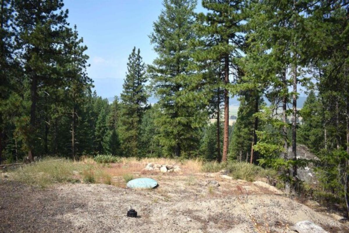 Picture of Residential Land For Sale in Cascade, Idaho, United States