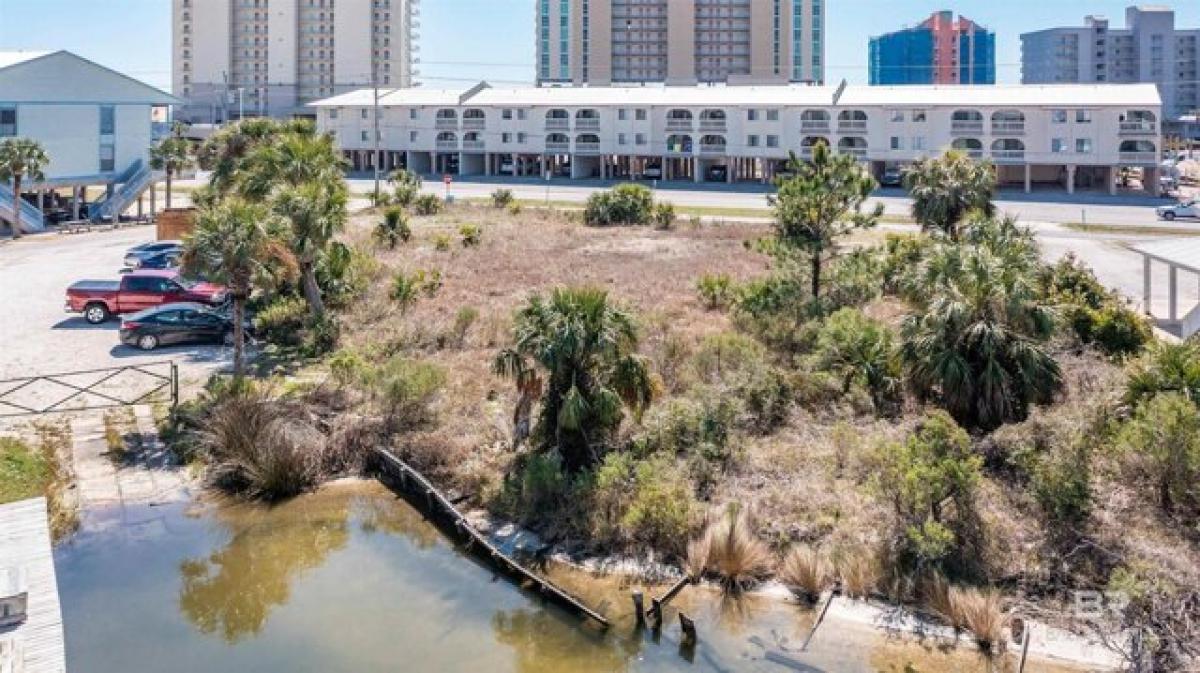 Picture of Residential Land For Sale in Gulf Shores, Alabama, United States