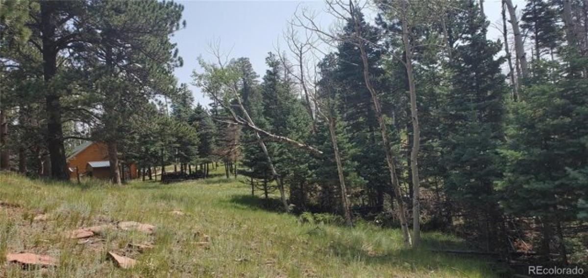 Picture of Residential Land For Sale in Fort Garland, Colorado, United States