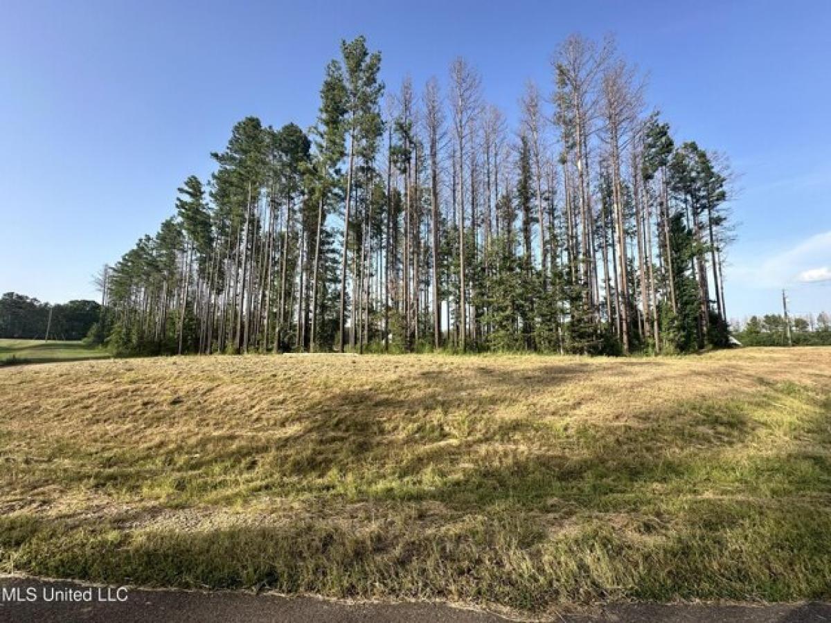 Picture of Residential Land For Sale in Brandon, Mississippi, United States