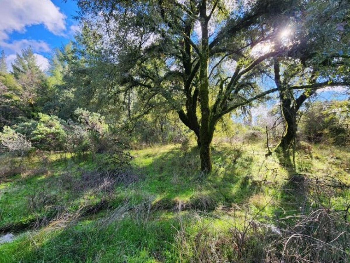 Picture of Residential Land For Sale in Colfax, California, United States