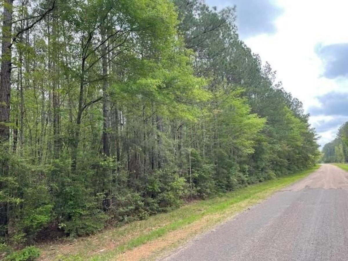 Picture of Residential Land For Sale in Magnolia, Mississippi, United States