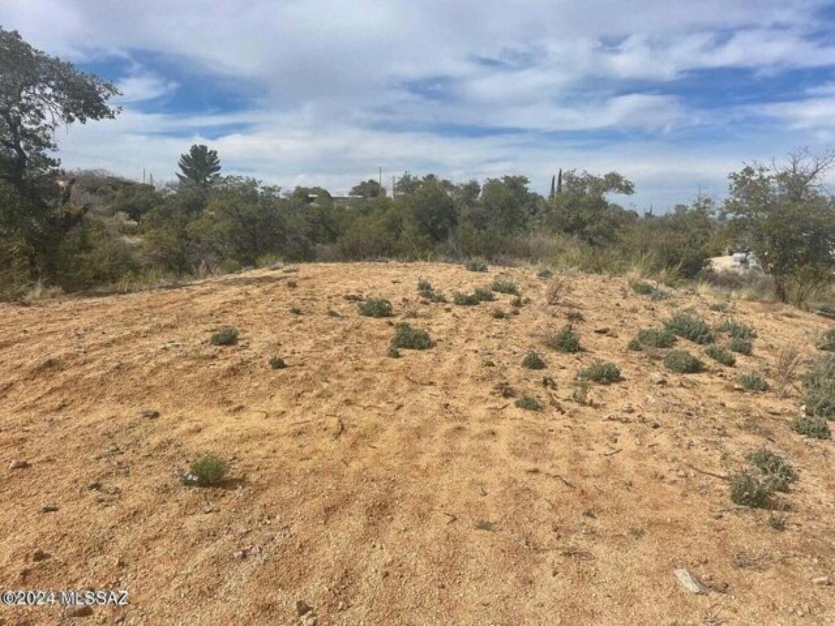 Picture of Residential Land For Sale in Oracle, Arizona, United States