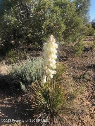 Residential Land For Sale in Flora Vista, New Mexico