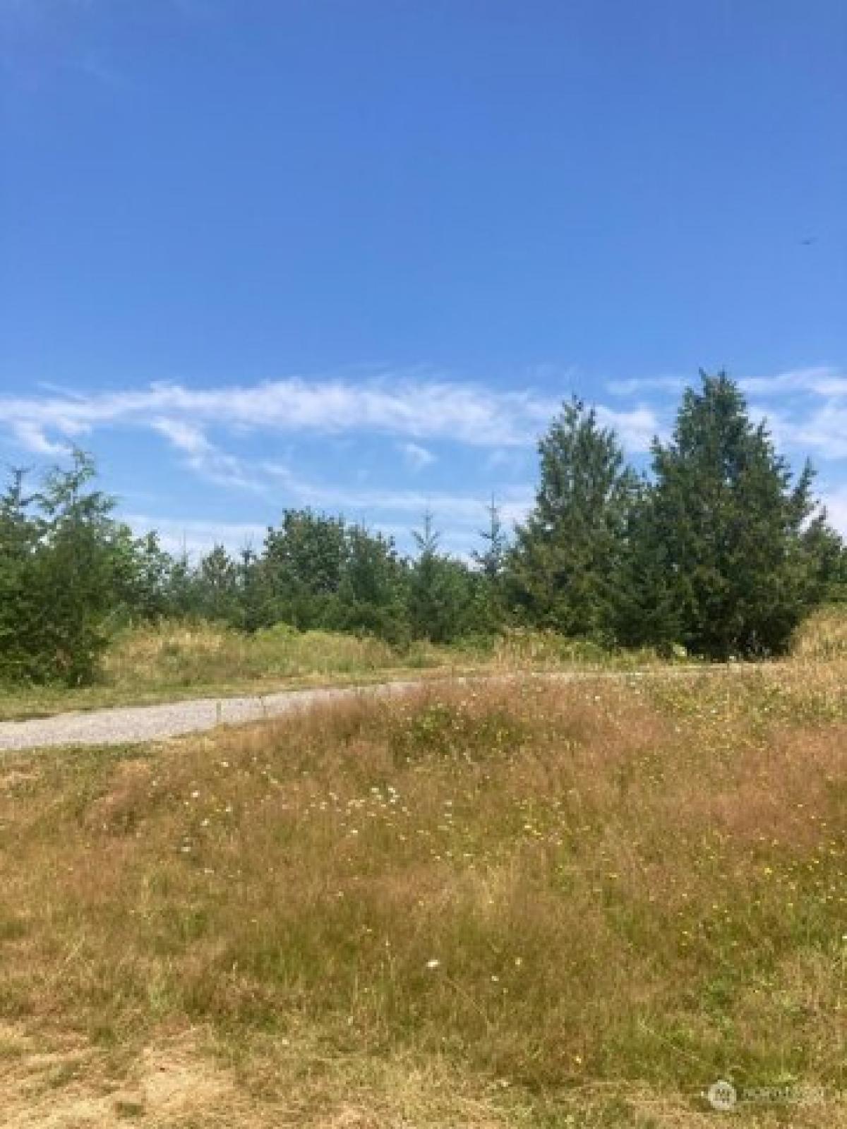 Picture of Residential Land For Sale in Centralia, Washington, United States