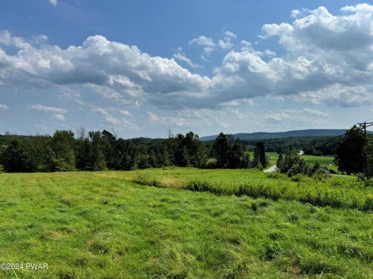 Picture of Residential Land For Sale in Pleasant Mount, Pennsylvania, United States