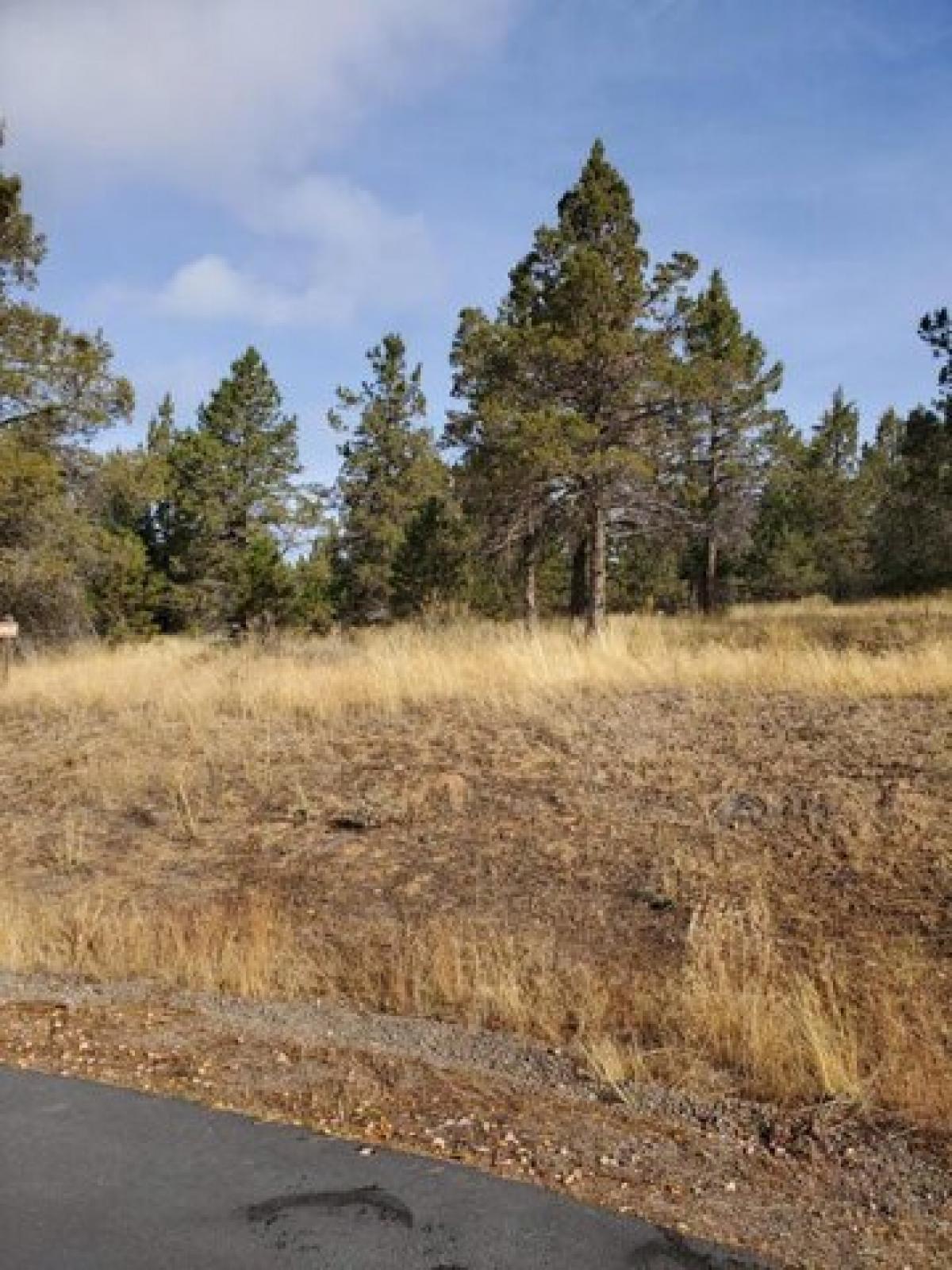 Picture of Residential Land For Sale in Klamath Falls, Oregon, United States