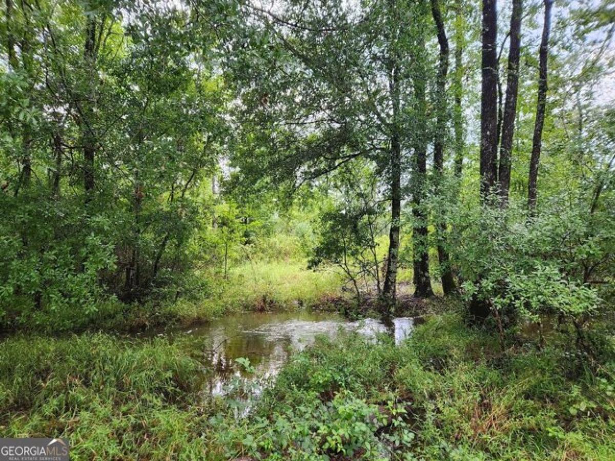 Picture of Residential Land For Sale in Dublin, Georgia, United States