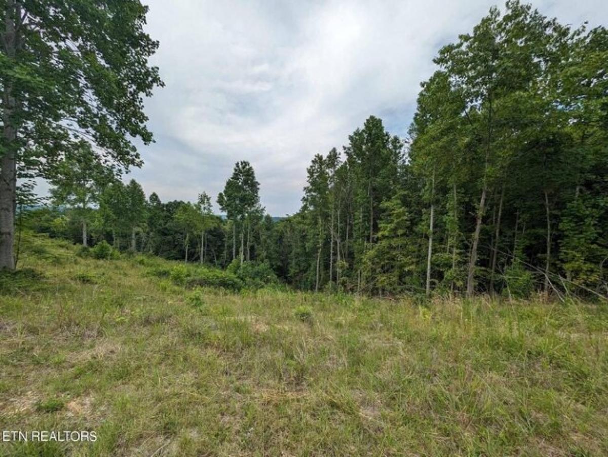 Picture of Residential Land For Sale in Byrdstown, Tennessee, United States