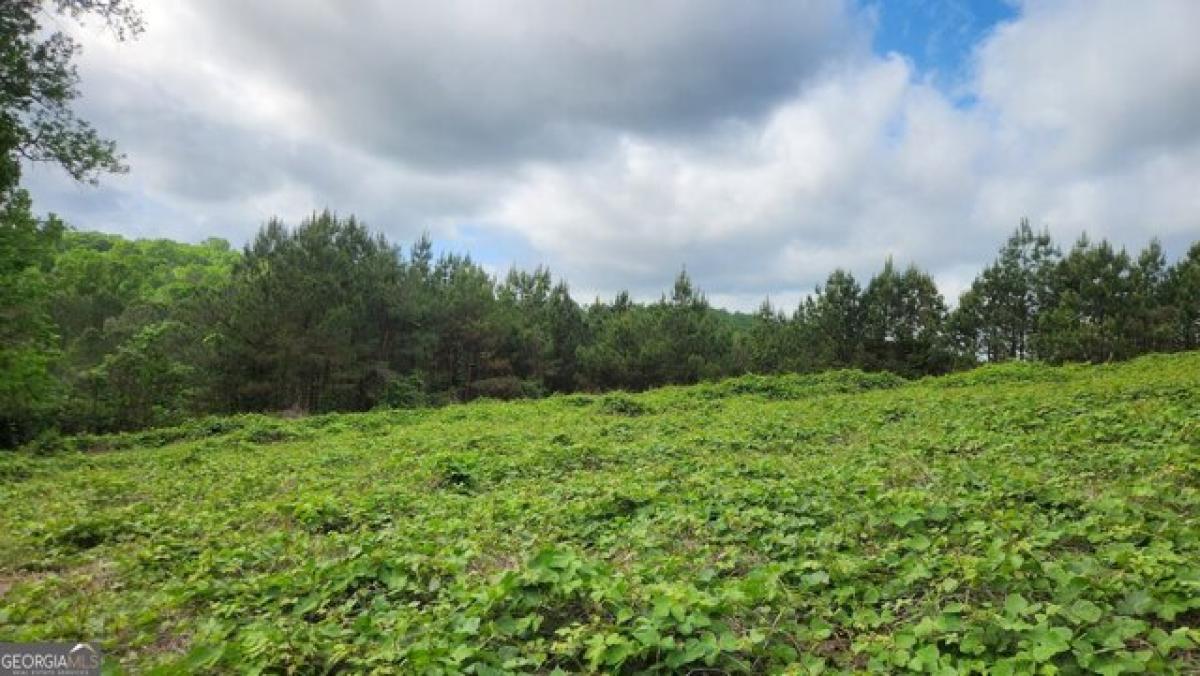 Picture of Residential Land For Sale in Trussville, Alabama, United States