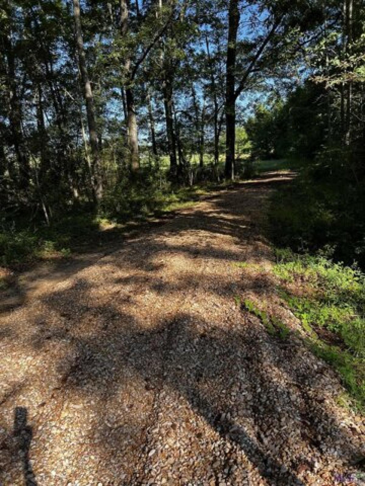 Picture of Residential Land For Sale in Ethel, Louisiana, United States