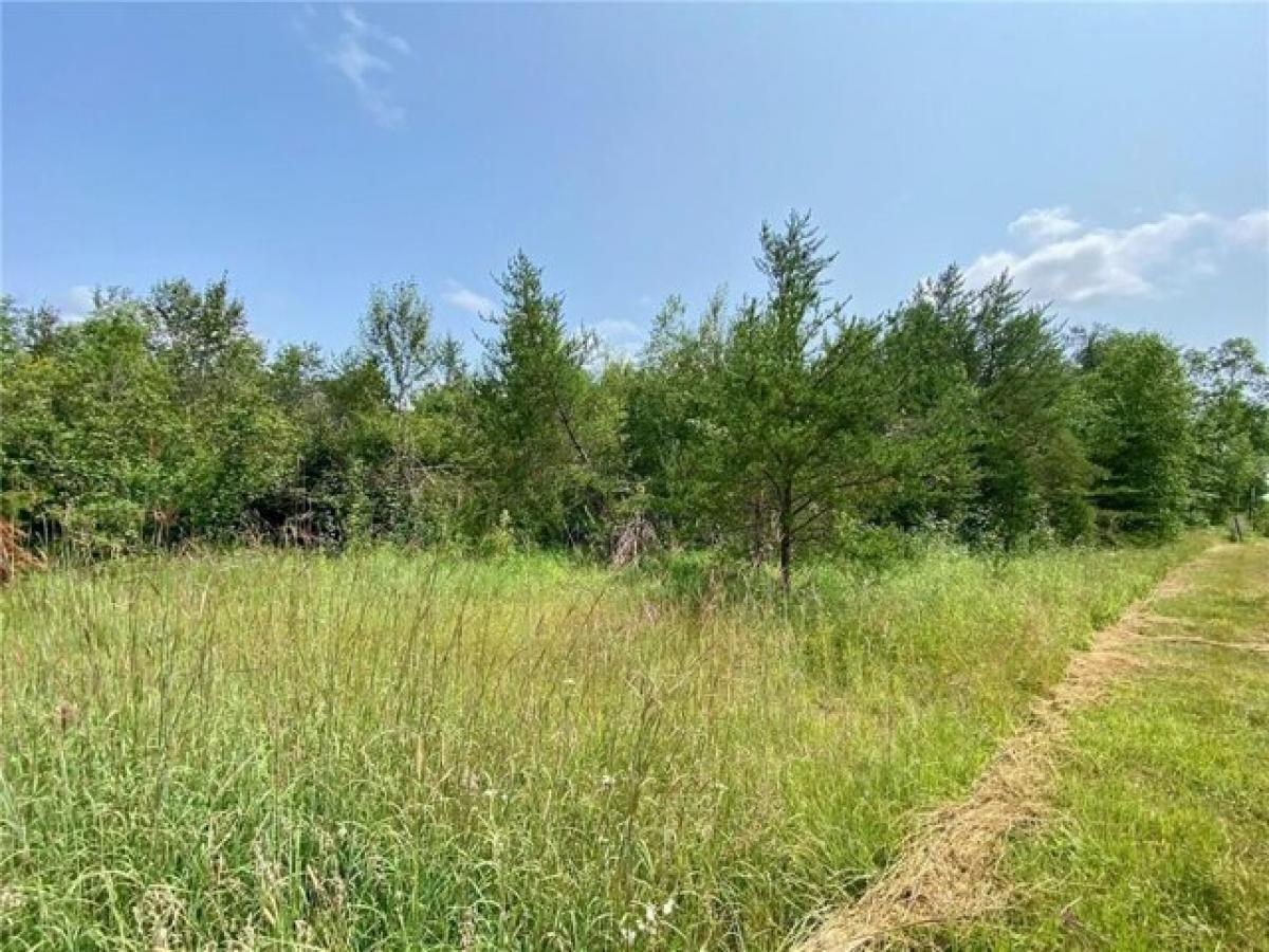 Picture of Residential Land For Sale in Gordon, Wisconsin, United States