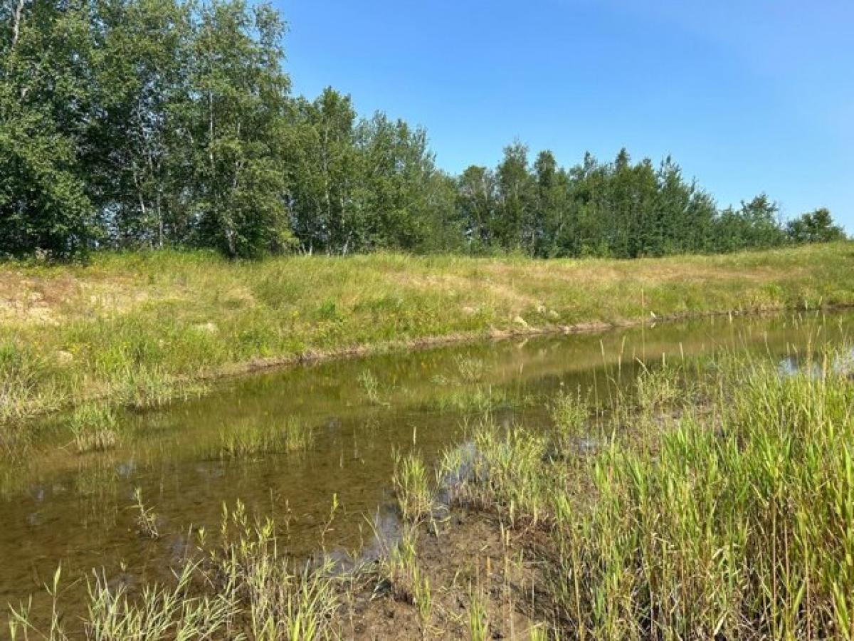 Picture of Residential Land For Sale in Staples, Minnesota, United States