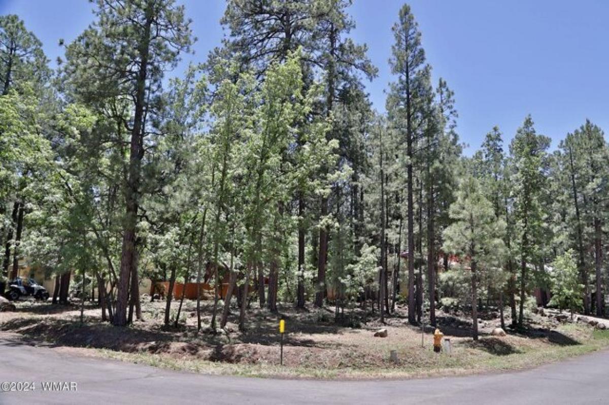 Picture of Residential Land For Sale in Pinetop, Arizona, United States