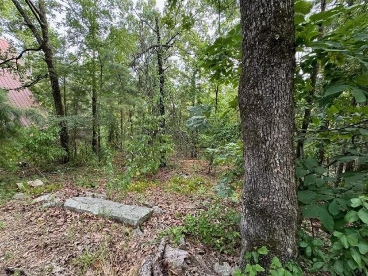 Picture of Home For Sale in Clayton, Oklahoma, United States