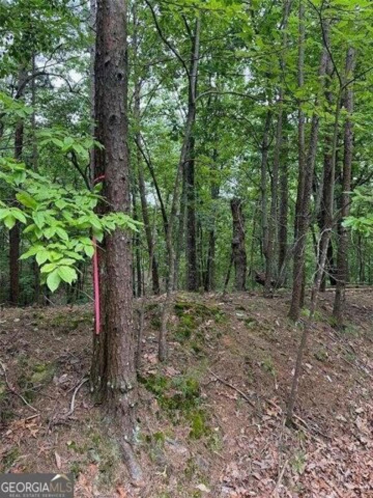 Picture of Residential Land For Sale in Canton, Georgia, United States