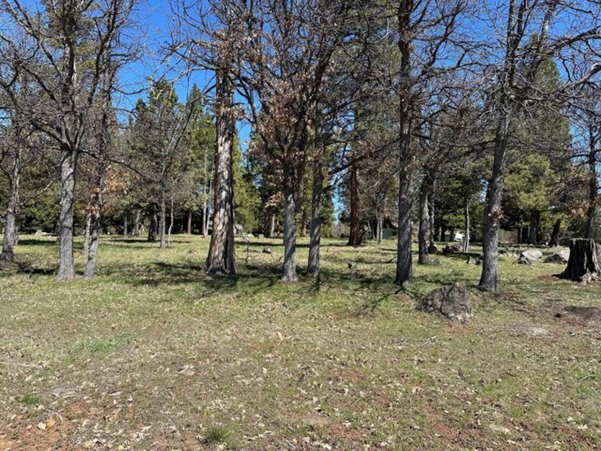 Picture of Residential Land For Sale in Klamath Falls, Oregon, United States