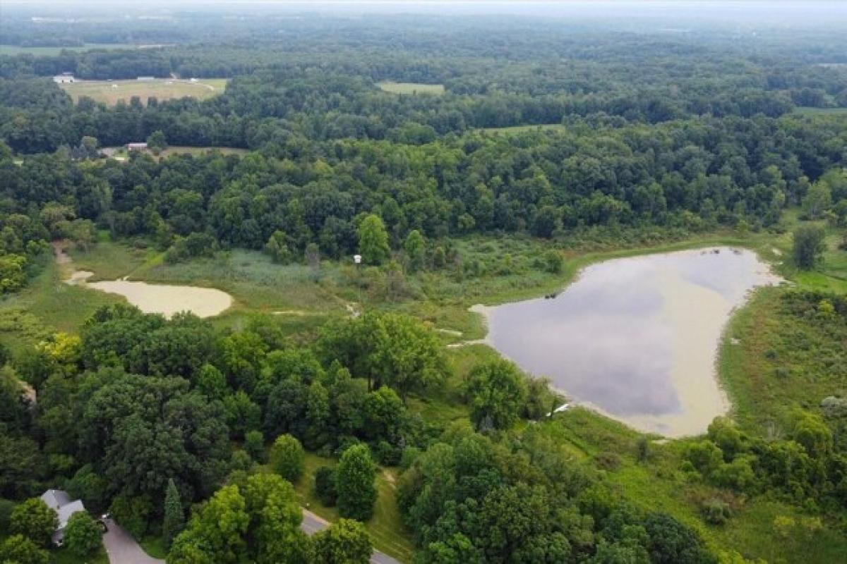 Picture of Residential Land For Sale in Buchanan, Michigan, United States