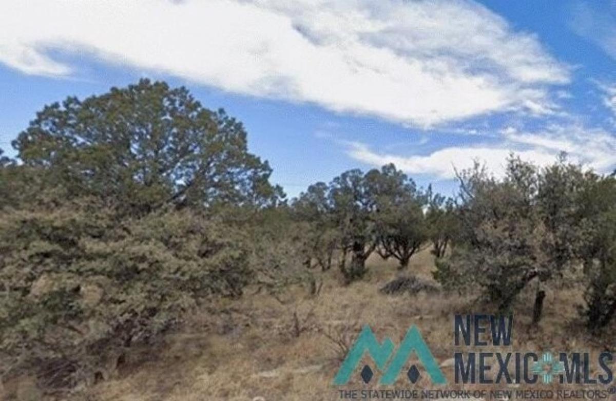 Picture of Residential Land For Sale in Carlsbad, New Mexico, United States