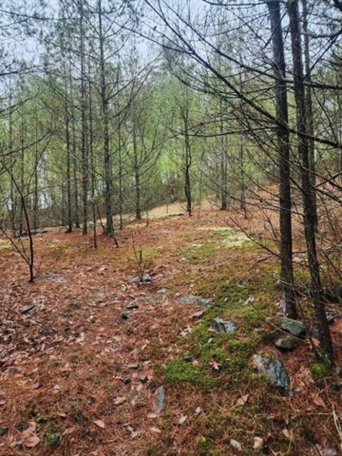 Picture of Residential Land For Sale in Ludlow, Massachusetts, United States