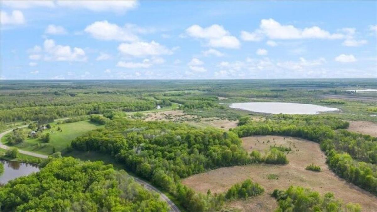 Picture of Residential Land For Sale in Palisade, Minnesota, United States