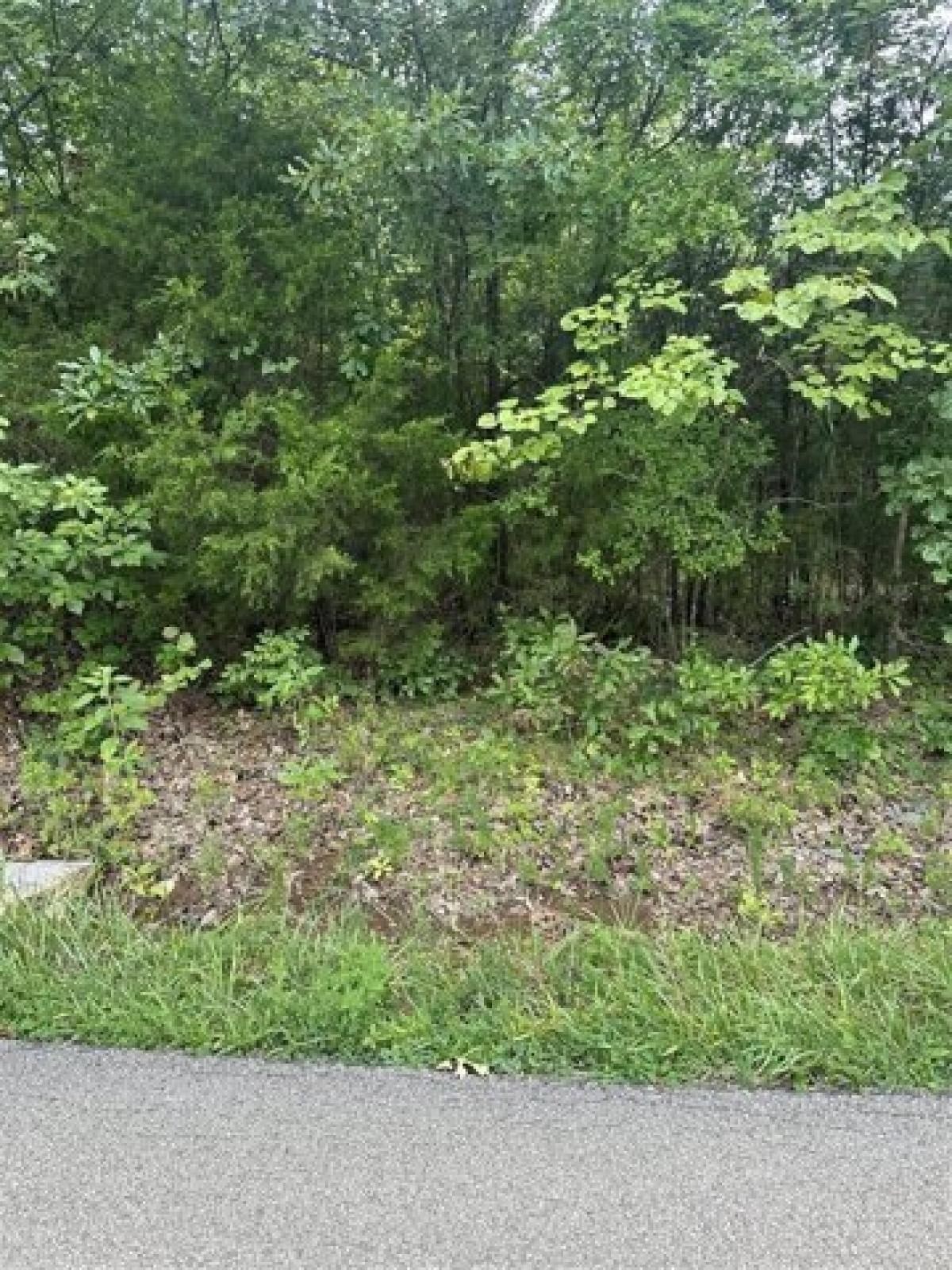 Picture of Residential Land For Sale in Rockfield, Kentucky, United States