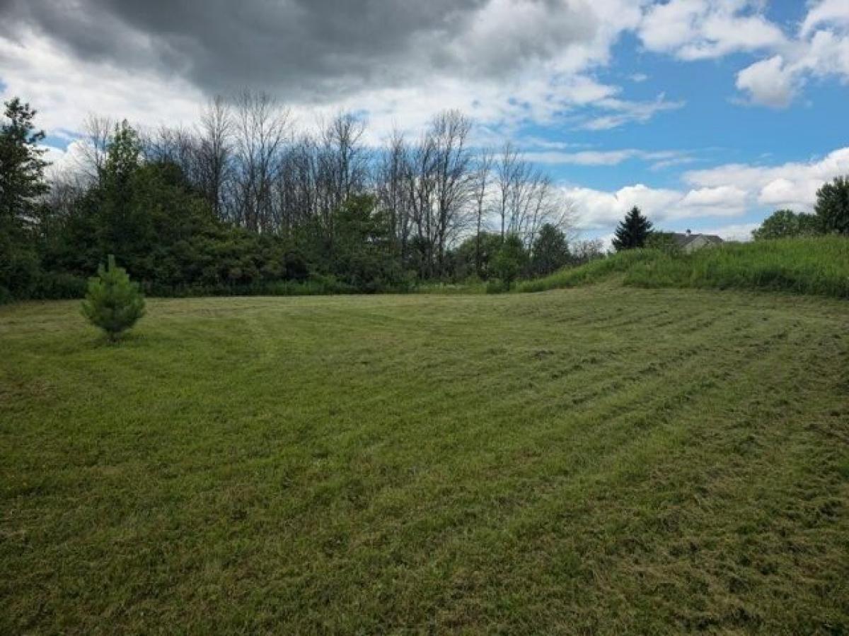 Picture of Residential Land For Sale in Sheboygan Falls, Wisconsin, United States