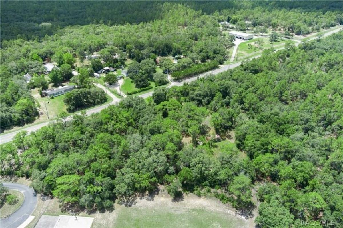 Picture of Residential Land For Sale in Lecanto, Florida, United States