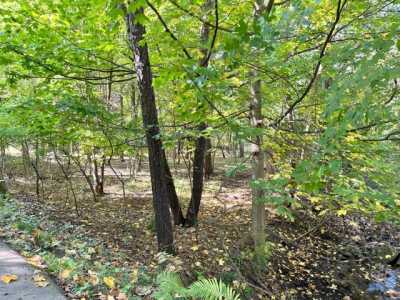 Residential Land For Sale in Ada, Michigan