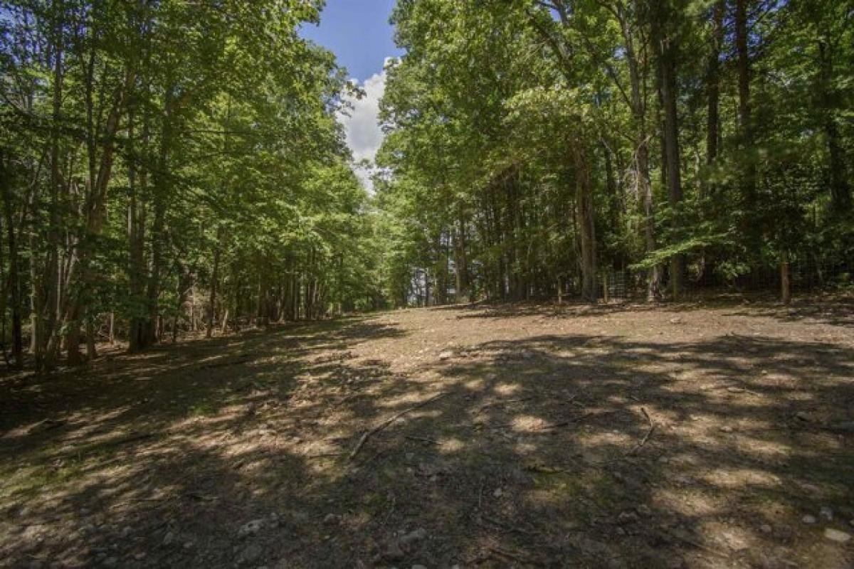 Picture of Residential Land For Sale in Willis, Virginia, United States