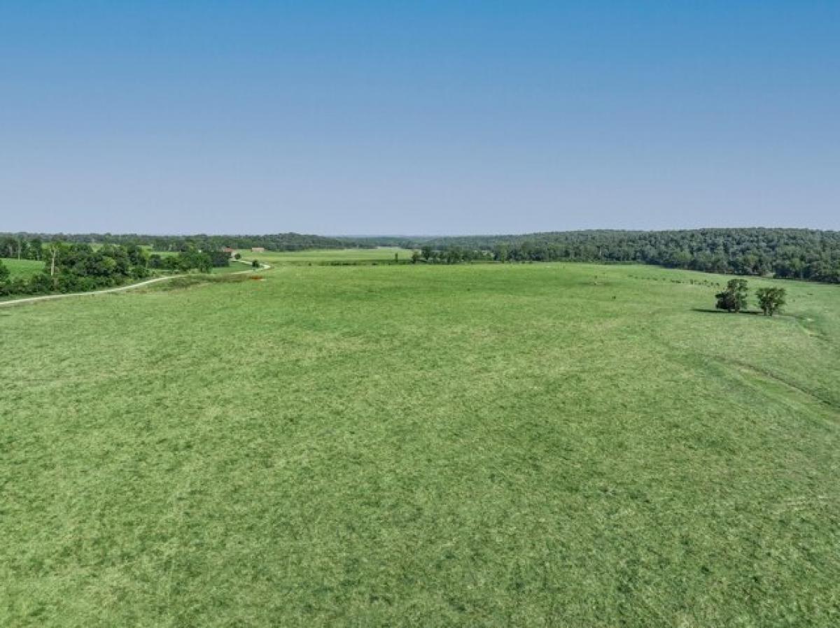 Picture of Residential Land For Sale in Stella, Missouri, United States