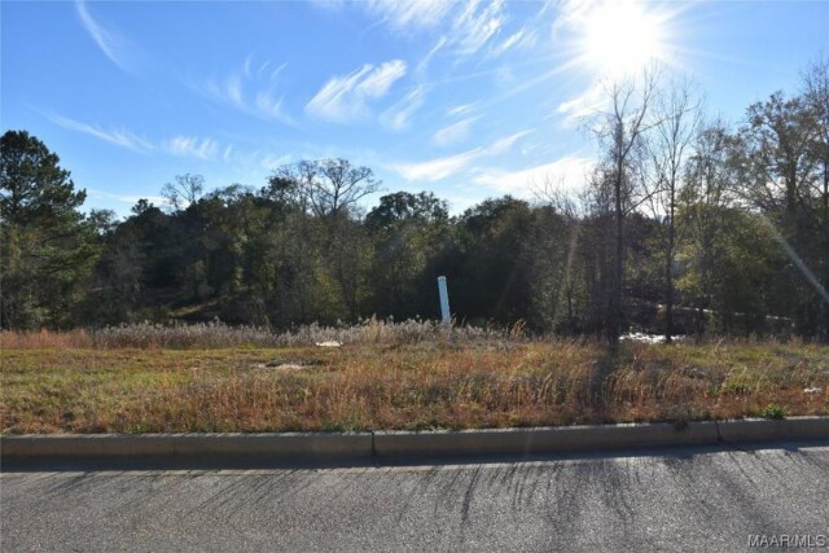 Picture of Residential Land For Sale in Enterprise, Alabama, United States