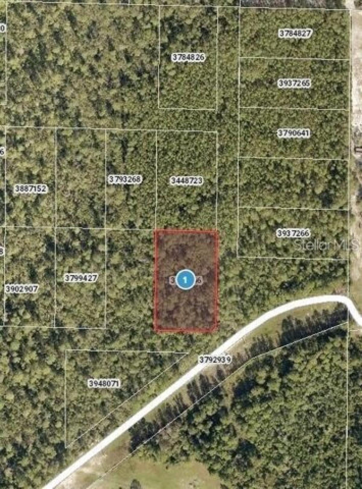 Picture of Residential Land For Sale in Paisley, Florida, United States