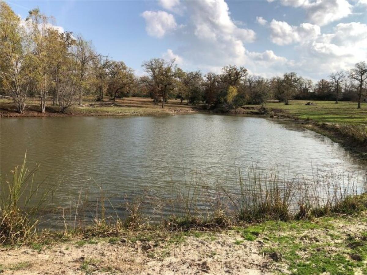 Picture of Residential Land For Sale in Iola, Texas, United States