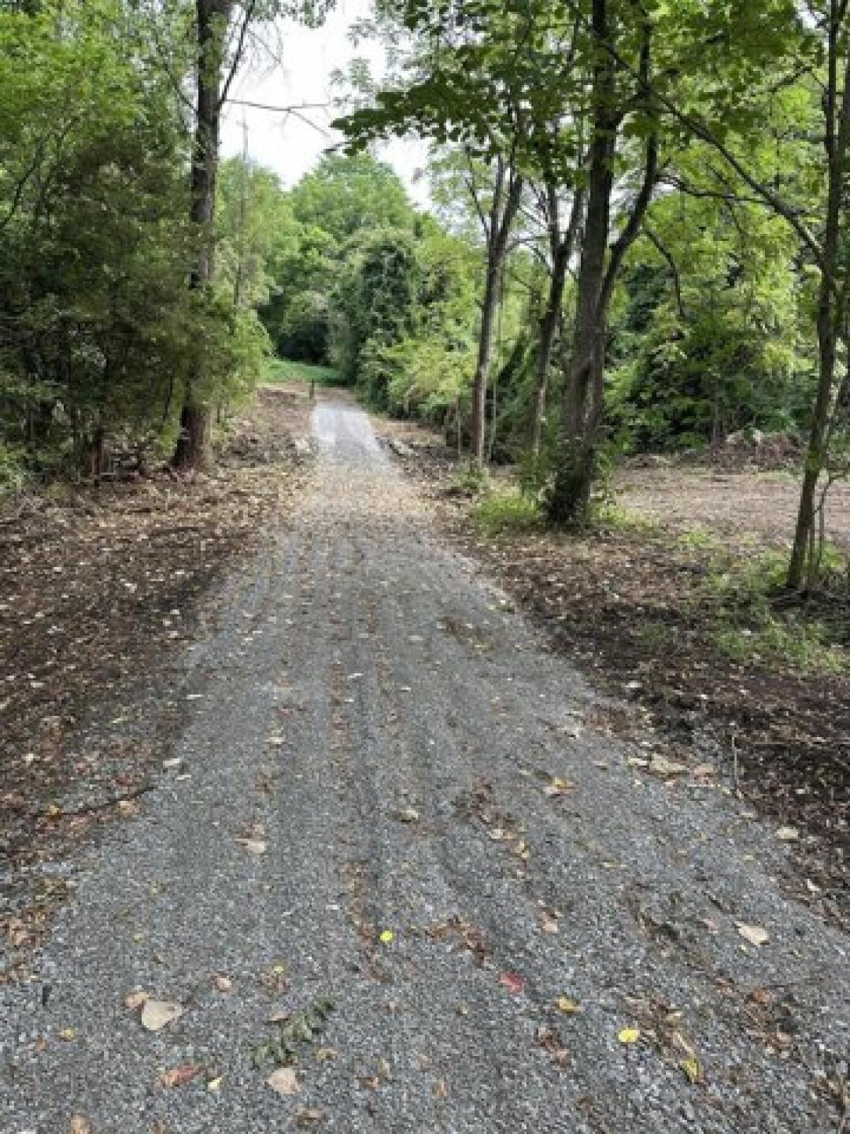 Picture of Residential Land For Sale in Paris, Kentucky, United States